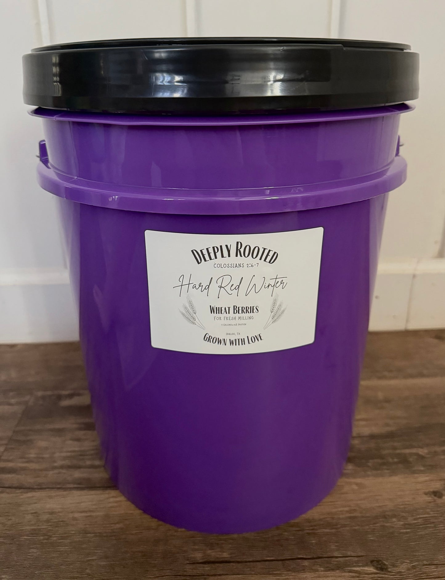 5 Gallon Bucket (Purple)