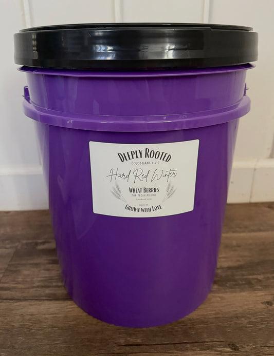 5 Gallon Bucket (Purple)