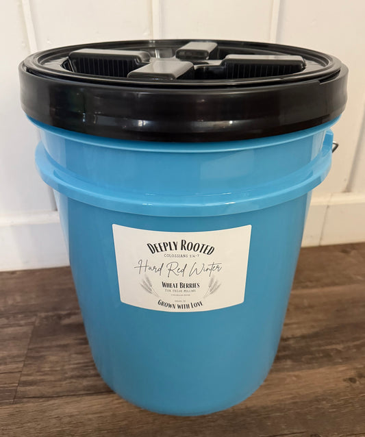 5 Gallon Bucket (Teal)