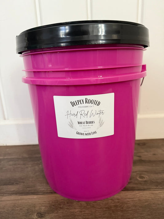 5 Gallon Bucket (Hot Pink)
